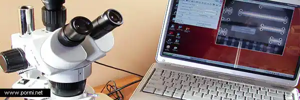 Las bases de la ciencia