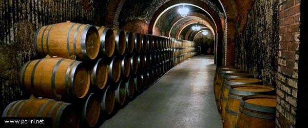 Bodega de vinos españoles