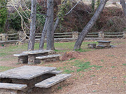 platos tipicos alpujarra