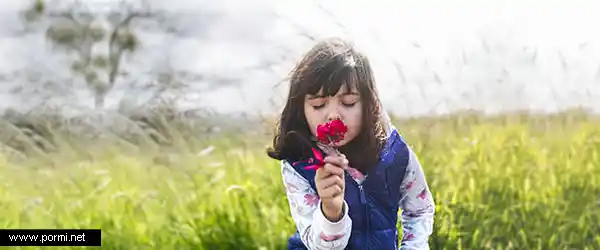 Botánica, plantas de decoración y hierbas para la cocina