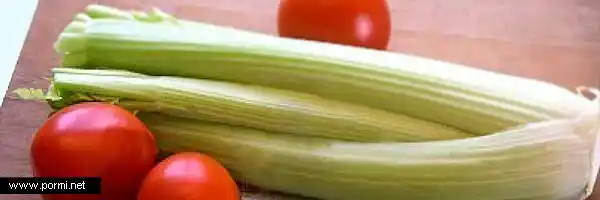 Alimentación y gastronomía