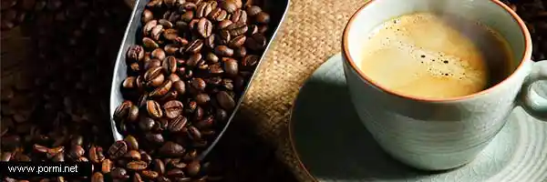 Pasión por el café: secretos, sabores y beneficios de tu bebida favorita
