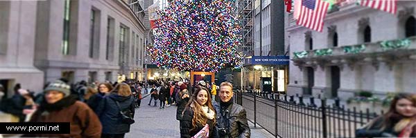 Nueva York en Navidades