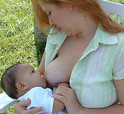 lactancia materna dar pecho