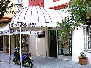 peluquerias valencia