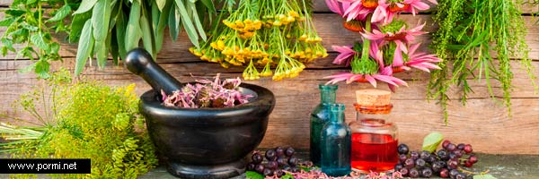 Índice Hierbas medicinales, plantas, verduras y frutas